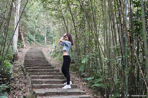 大山背鬧鬼|大崎崠登山步道 – 台灣景點玩透透